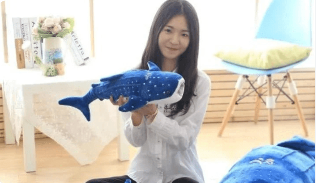 Plush Customization Services for Brands & Businesses