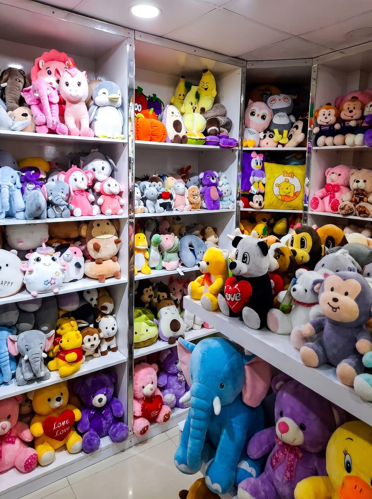 Plush Solution For Startups